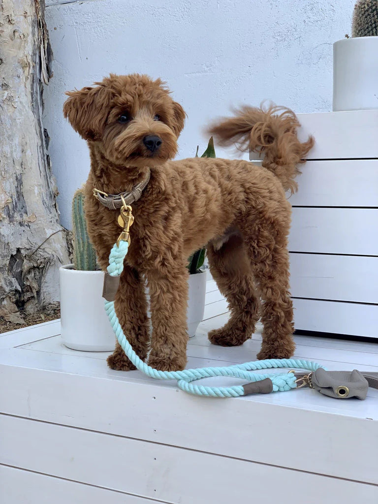 Desert Sand Collar