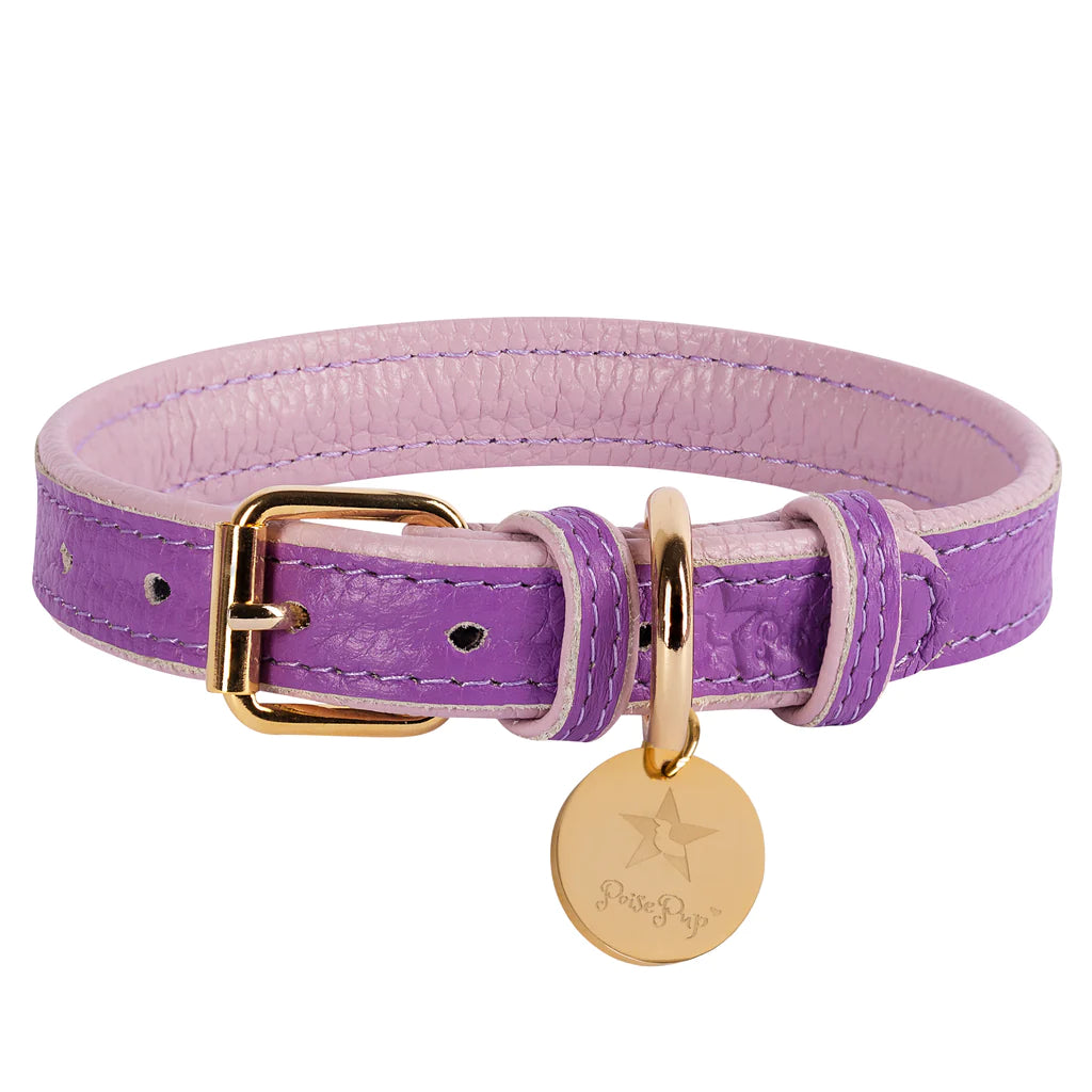 Lavish Lavender Collar