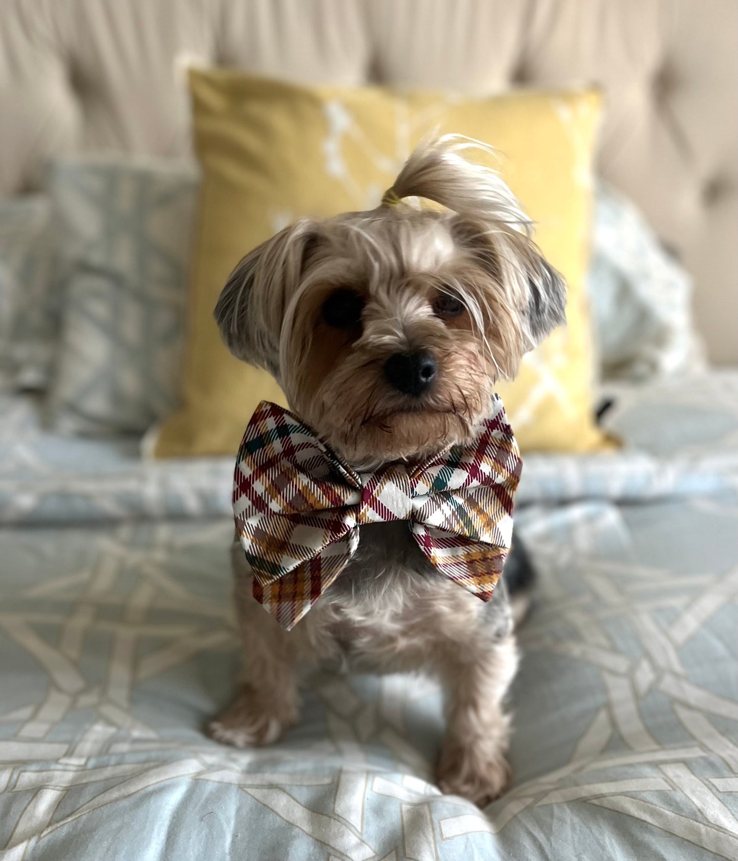 Bougie Bow Tie Boyfriend Plaid Bow Tie