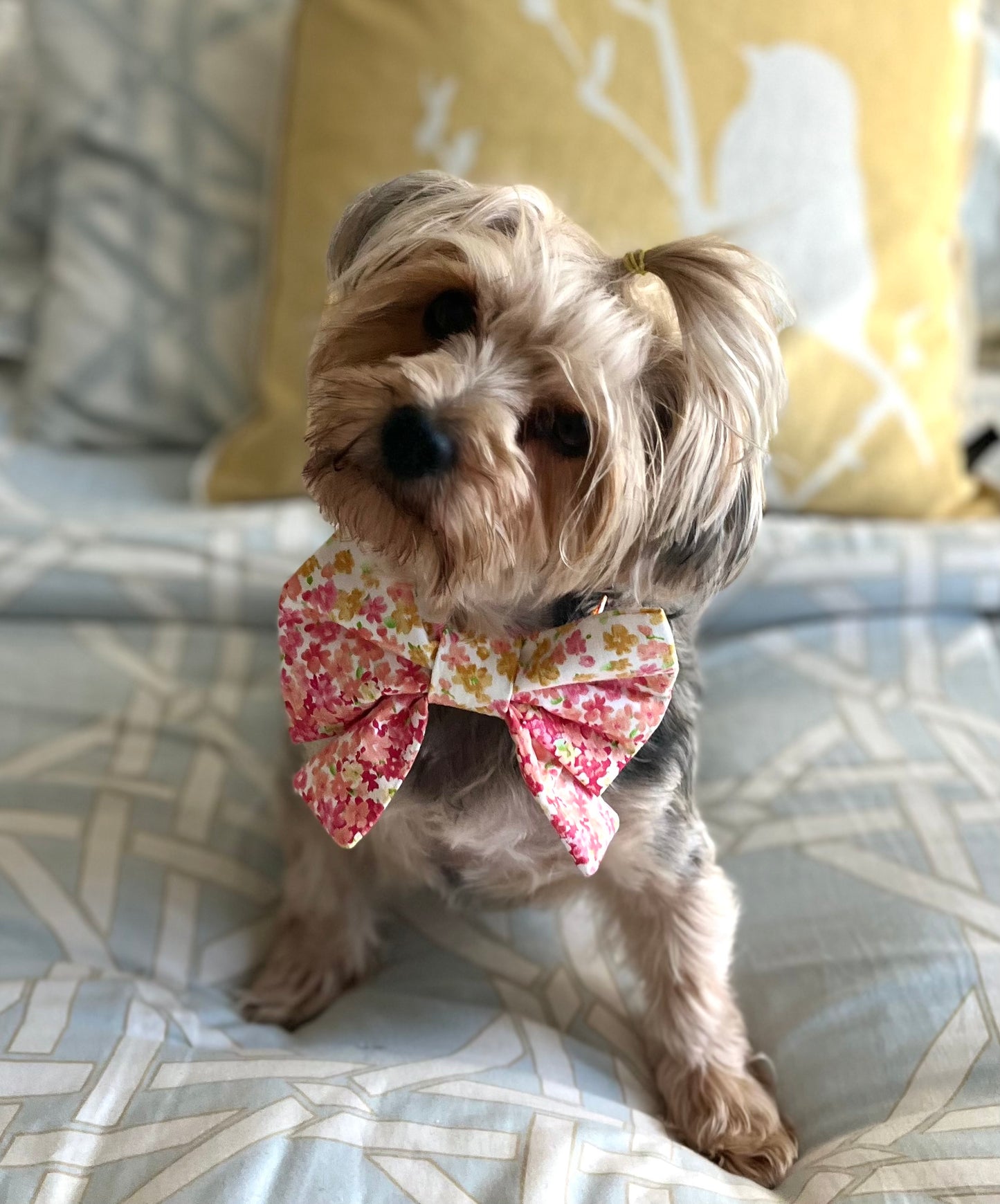 Bougie Bow Tie Wildflowers Pink and Golden